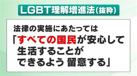 lgbt 利権|LGBT理解増進法が成立。「多様な性」尊重の流れを。